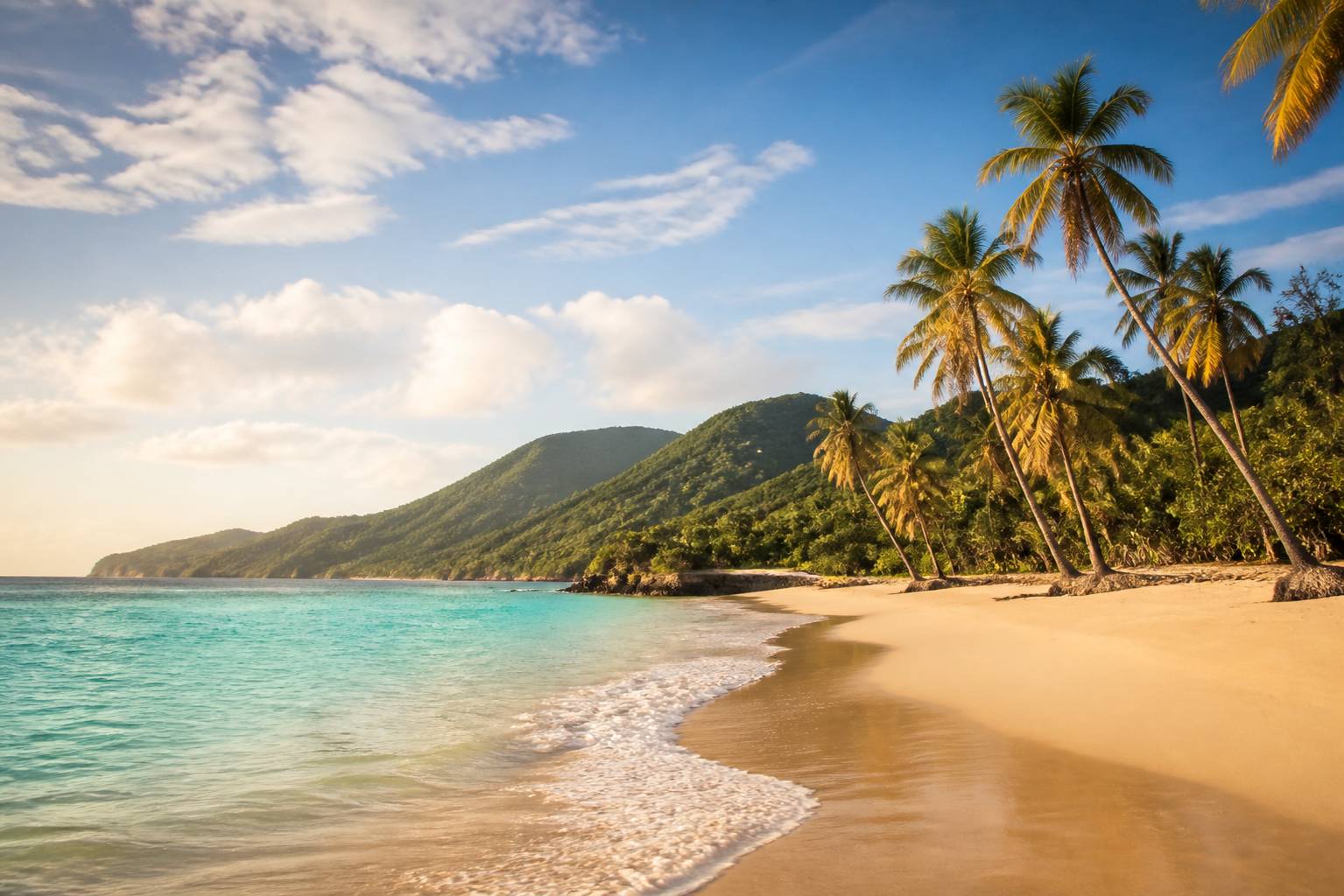 Paysage de la Martinique avec plage de sable blanc, eau turquoise et collines verdoyantes